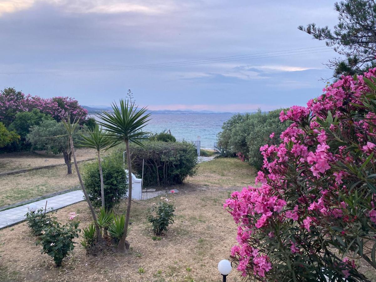 Casa Santa Agua Villa Amulianí Kültér fotó