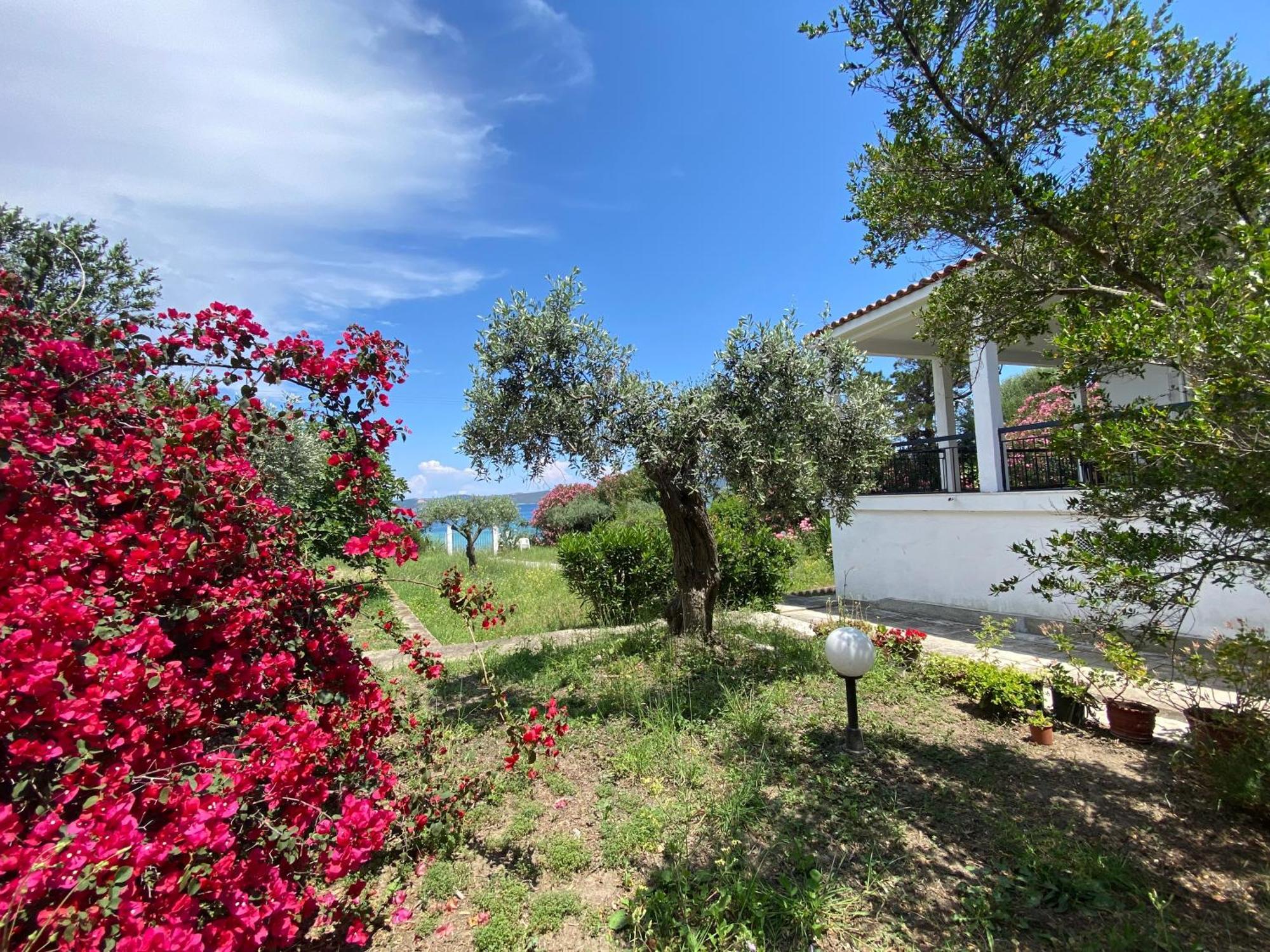 Casa Santa Agua Villa Amulianí Kültér fotó