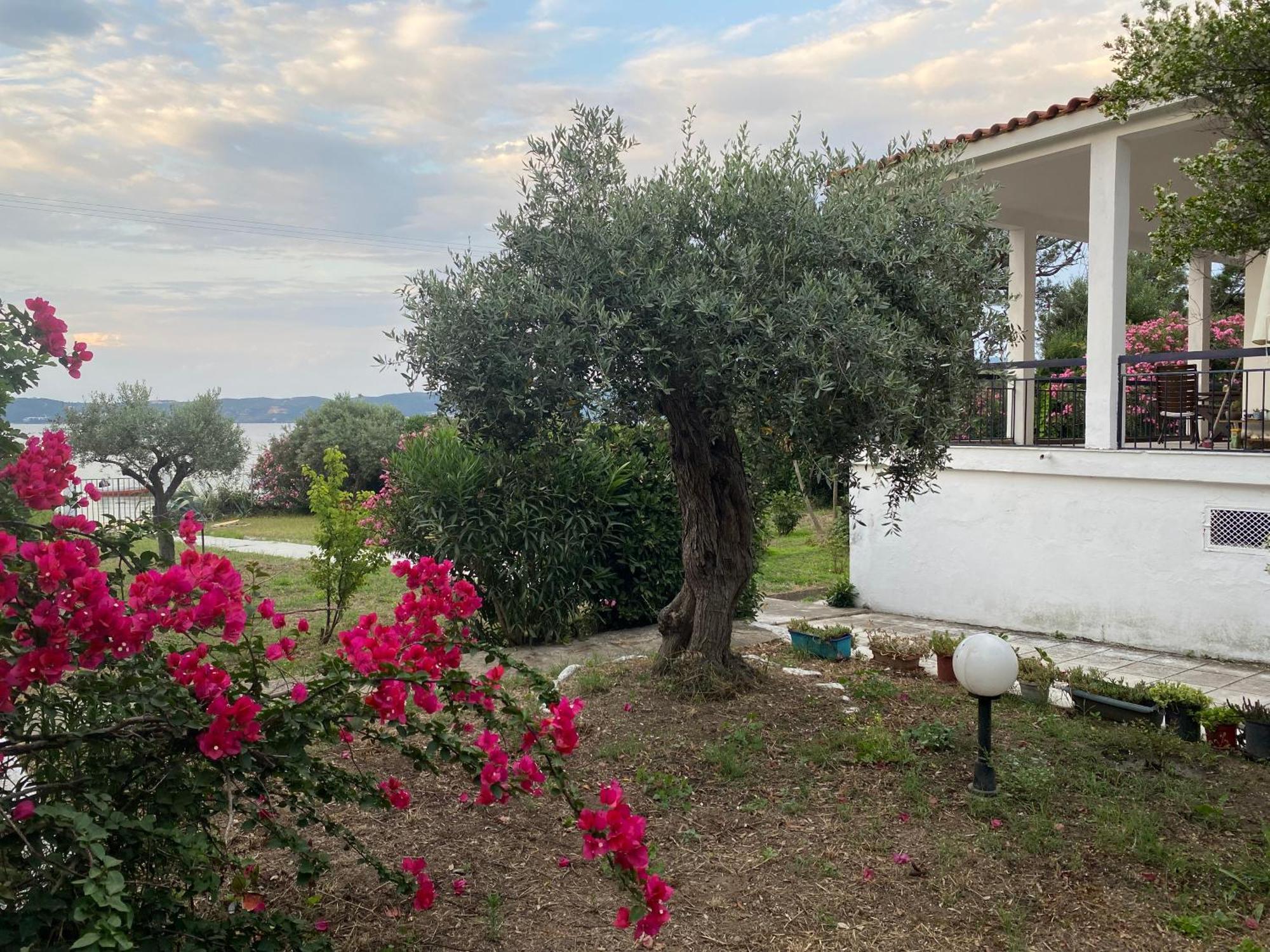 Casa Santa Agua Villa Amulianí Kültér fotó