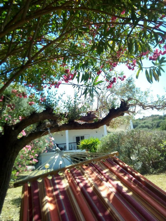 Casa Santa Agua Villa Amulianí Kültér fotó